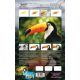 H&S Toucan Willife Stencils 410131