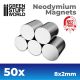 GSW Neodymium Magnets 8x2mm - 50 units (N52)