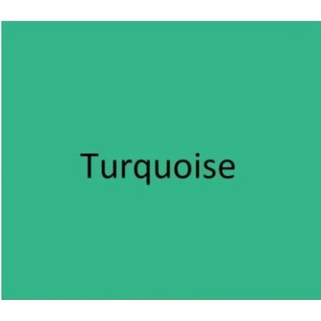 6021 Turquoise 125ml.