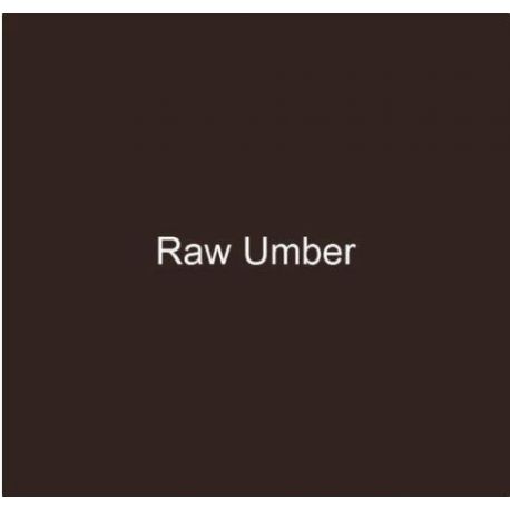 6018 Raw Umber 250ml.