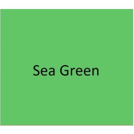 6020 Sea Green 250ml.