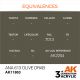 AK11863 ANA 613 Olive Drab 17ml.
