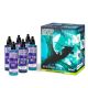 Paint Set - Dipping collection 03