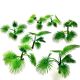 Paper Plants - Ground Palm