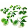 Paper Plants - Ground Palm