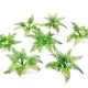 Paper Plants - Fern