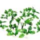 Paper Plants - Monstera