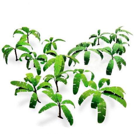 Paper Plants - Musa Trees
