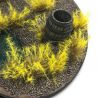 Thorny Scrubs - Yellow Thorns