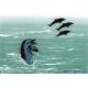 Createx Mylar stencil. Dolphins 262591
