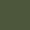 ACF08 - Vert / Green Satin finish 14ml.