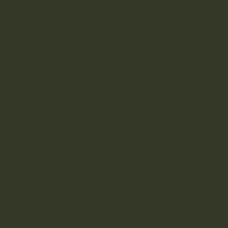 ACLW19 - Olivgrun (RLM 80) Satin finish 14ml.
