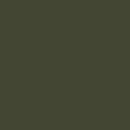 ACLW28 - Olivgrün (RAL 6003) Satin finish 14ml.