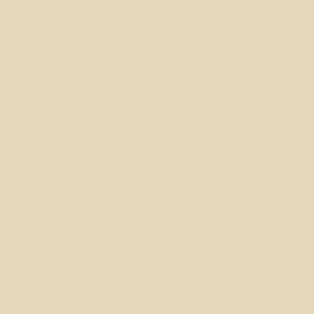 ACUS10 - WW2 USN Non Specular White Satin finish 14ml.