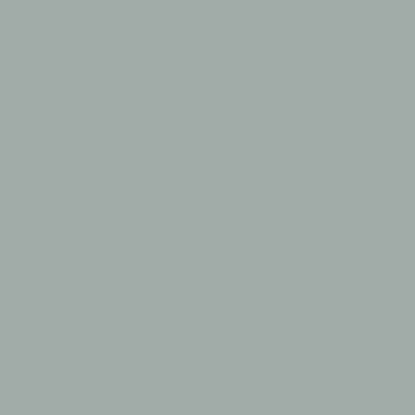 ACUS21 - ADC Gray (FS26473) Satin finish 14ml.