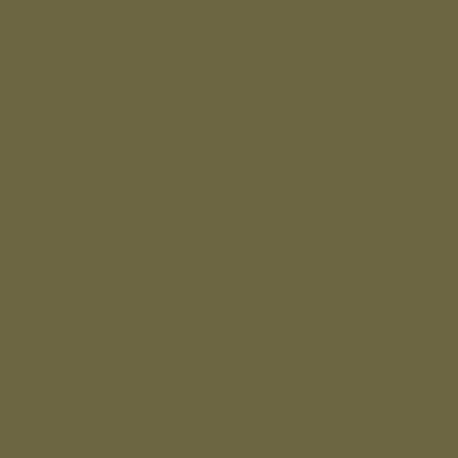 ARB05 - Dark Earth) Matt finish 14ml.