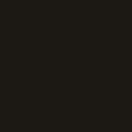 ARB15 - Very Dark Brown (BS 987C S.C.C No.14) Matt finish 14ml.