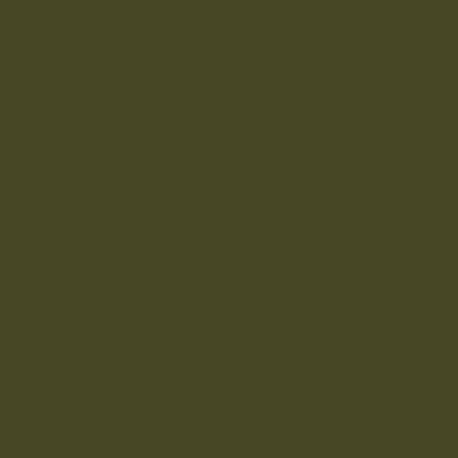 ARB21 - Olive Green (BS 9987C S.C.C No.7) Matt finish 14ml.