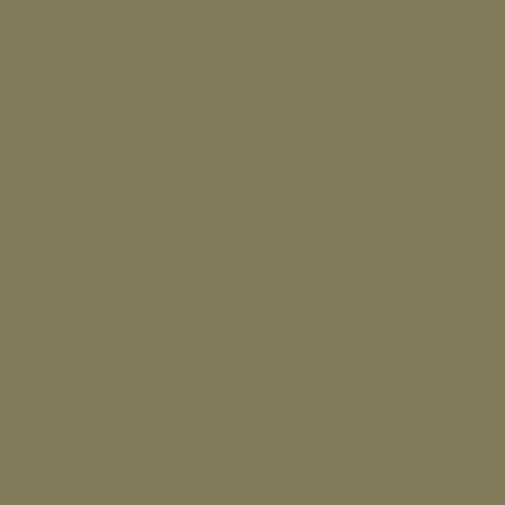 ARG02 - Afrika Corps Sand/Grey (RAL 7027) Satin finish 14ml.