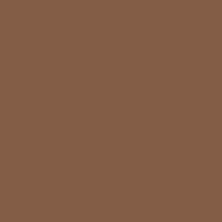 ARG09 - Signalbraun (RAL 8002) Satin finish 14ml.