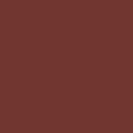 ARG12 - Red Oxide Primer (RAL 8012) Satin finish 14ml.