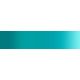 5504 Iridescent Turquoise 60ml