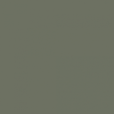 GW25 - Olive Satin finish 14ml.