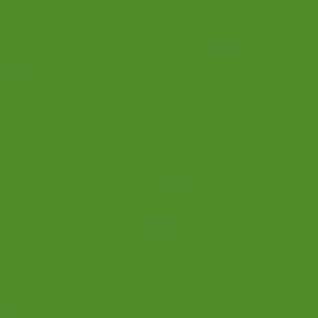 ACLE11 - Grün (FAS 4-NSFK) Matt finish 14ml.