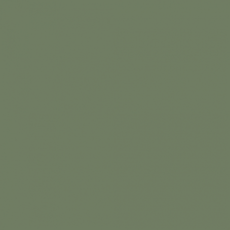 ARIT01 - Grigio Verde Chiaro (Light Grey Green) Matt finish 14ml.