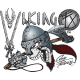 Viking FX Set VIMFHVKFX5