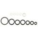 O-Ring sæt for Colani 124910