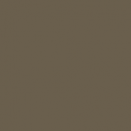 ACGW02 - Khaki (P.C.10) (RFC/USAAC) Satin finish 14ml.