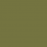 ACGW16 - German Green (Light) Satin finish 14ml.