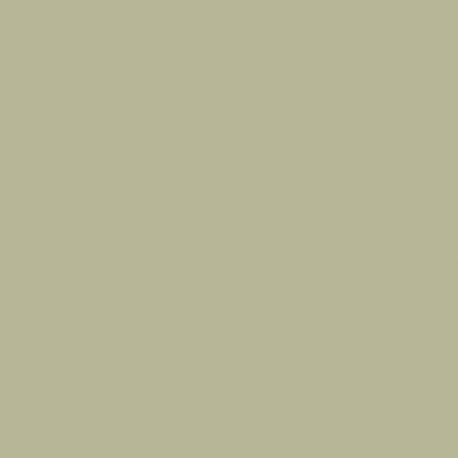 US21 - 5-PG Pale Green Revised Matt finish 14ml.
