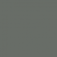 US31 - 17 Neutral Ocean Gray (1945) Matt finish 14ml.