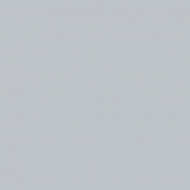 US32 - 46 Neutral Outside Gray (1945) Matt finish 14ml.