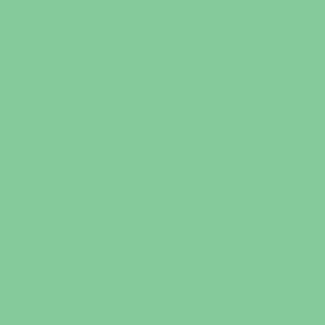 RM05 - Verde Chiaro Matt finish 14ml.