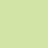 RM06 - Giallo Verde Matt finish 14ml.