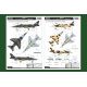 Hobby Boss French Jaguar A 87258 (1:72)