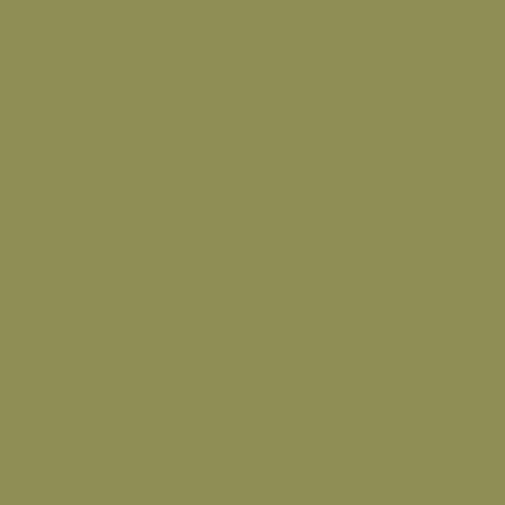 ACJ04 - IJN Interior Buff GreenSatin finish 14ml.