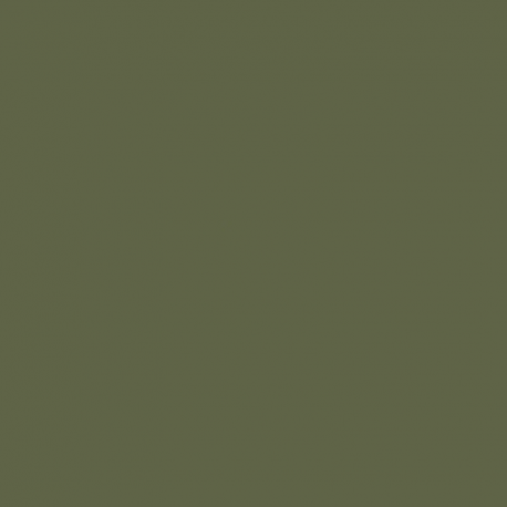 ACJ09 - IJA nr7 variant Satin finish 14ml.