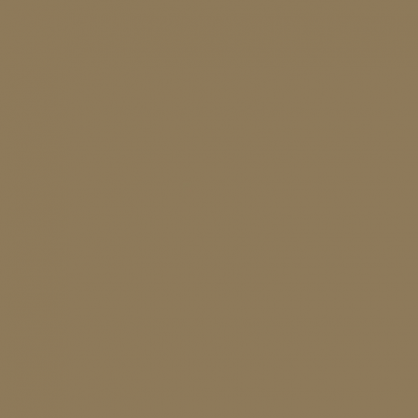 ACJ17 - Nakajima Amber Grey (Ameiro) Satin finish 14ml.