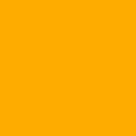 ACJ21 - IJNAF/IJAAF Trainer Yellow-Orange Satin finish 14ml.
